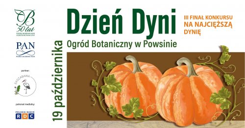 Dzień Dyni