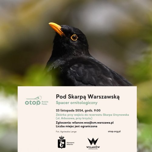 Spacer ornitologiczny pod Skarpą Warszawską